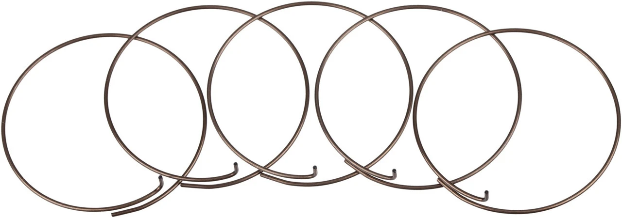 Fulcrum Sperrklinkenfedern 5-RM0-005 Für MTB Freilaufkörper 3 Fulcrum Sperrklinkenfedern 5-RM0-005 Für MTB Freilaufkörper