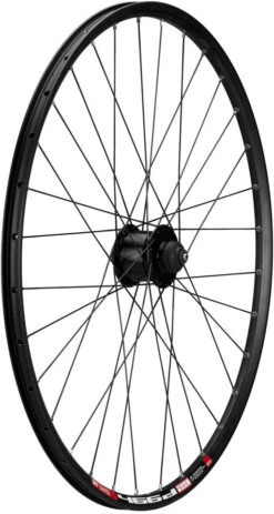 Alfine Disc Center Lock 28" 11-Gang Laufradsatz -Fahrradkomponenten 189994