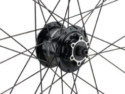 Mountain Alivio Disc 6-Loch DT Swiss 466d 29" Laufradsatz -Fahrradkomponenten 399626