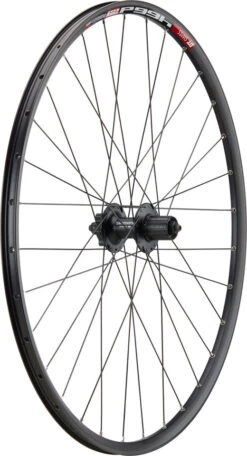 Mountain Alivio Disc 6-Loch DT Swiss 466d 29" Laufradsatz -Fahrradkomponenten 399627