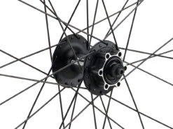 Mountain Alivio Disc 6-Loch DT Swiss 466d 29" Laufradsatz -Fahrradkomponenten 399633